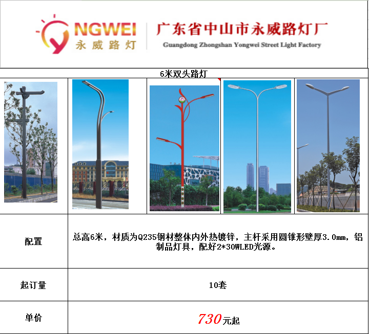 6米双头市电路灯.png