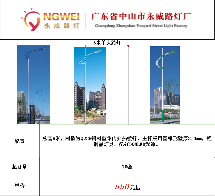 6米单头市电路灯.png